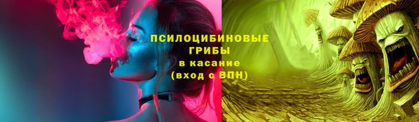 ПСИЛОЦИБИНОВЫЕ ГРИБЫ Аркадак