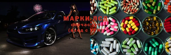 ПСИЛОЦИБИНОВЫЕ ГРИБЫ Аркадак