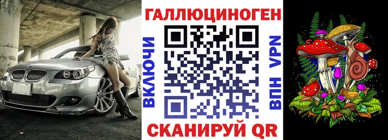 darknet Telegram дарнет шоп Осинники Галлюциногенные грибы Psilocybe